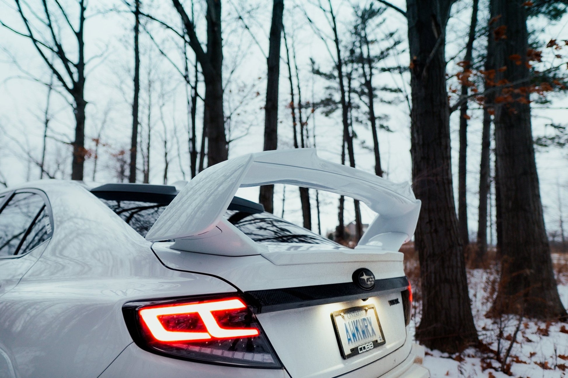 OLM Spec - AR LED Taillights (Clear Lens/Black Base/White Bar) - 2022+ WRX - Speedlogix