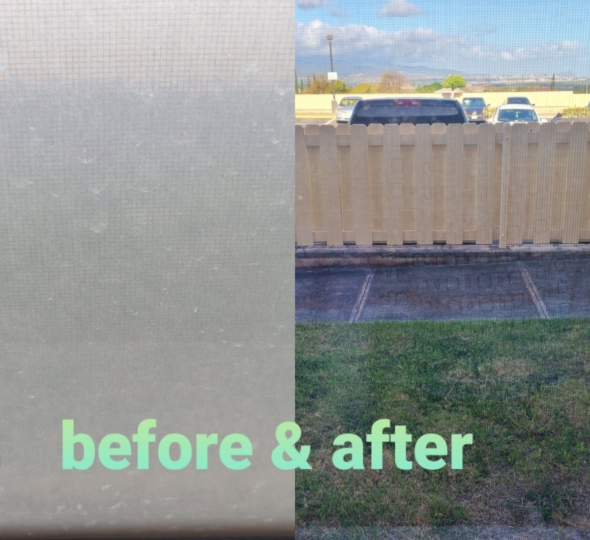 Paint & Glass Waterspot Removal Bundle - Speedlogix