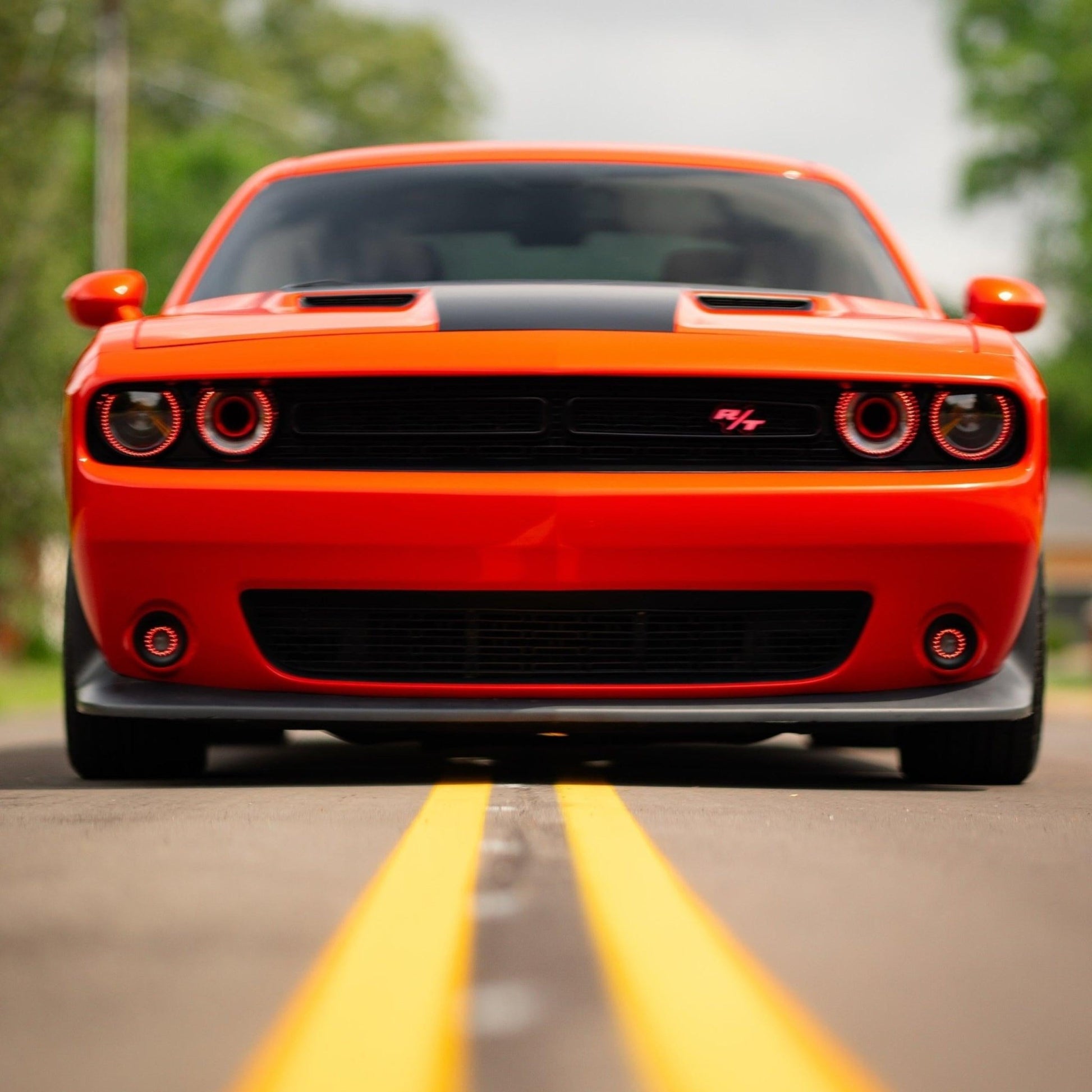 RT LED Badge: (Multicolor Flow) - Speedlogix