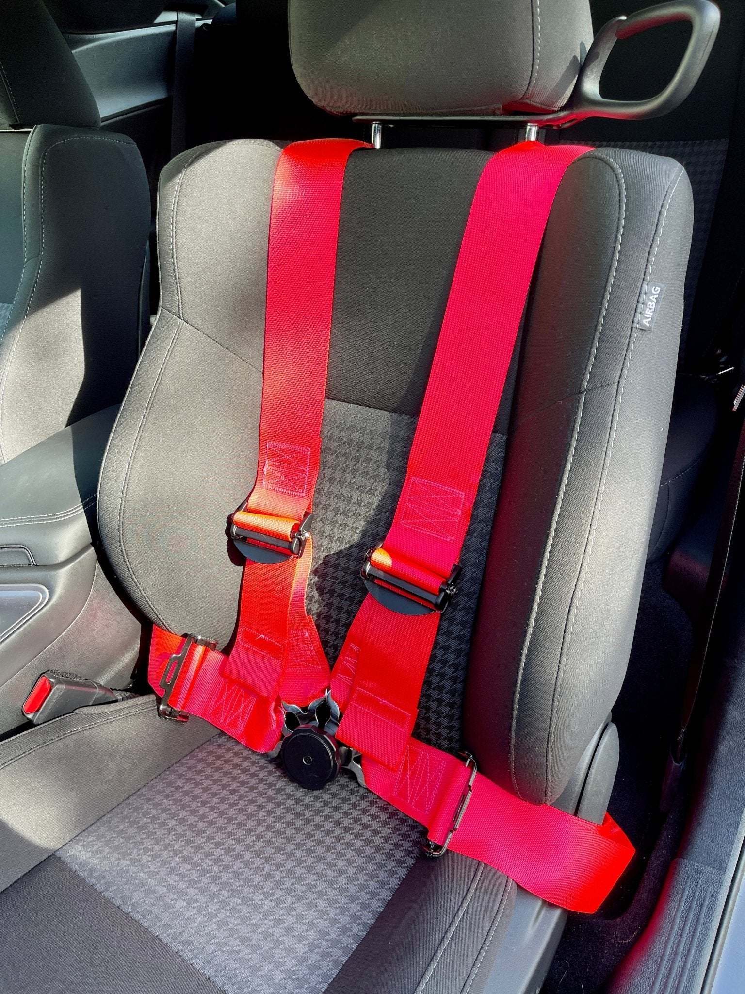 Speedlogix 4 - pt Camlock Elite Racing Harness Belt (11 Colors) - Speedlogix